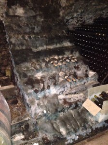 Cellar dating to 13th century at Domaine Lafarge.