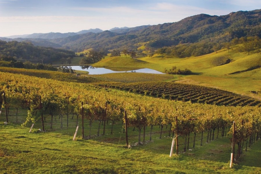 Paso Robles Possibilities