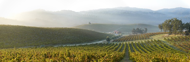 Tablas Creek Vineyards, Paso Robles (winery website)