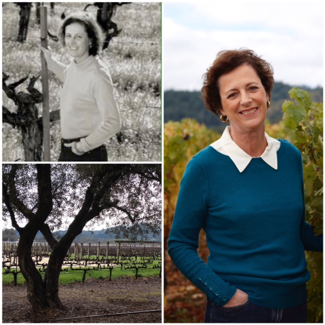 Is To Kalon Vineyard a “fountain of youth”?