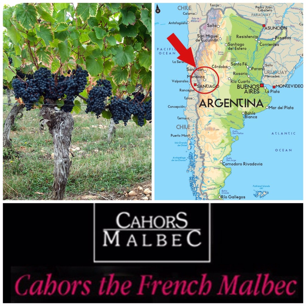 Spiritual Homes: Cahors and Mendoza (Photo credits: Wine Folly grapevine; Wines of Argentina map; Lot Cycling Holidays “Cahors Malbec”)