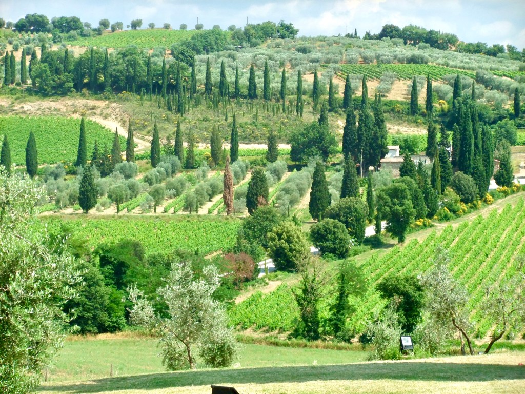Perfect Pairings: The Principle of Place in&nbsp;Tuscany
