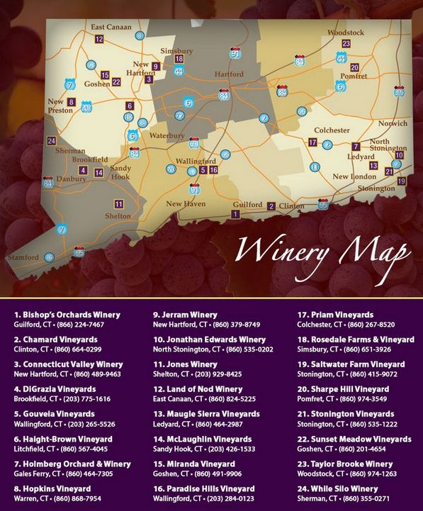 United States of Wine:&nbsp;Connecticut